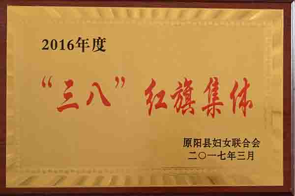 三八红旗集体