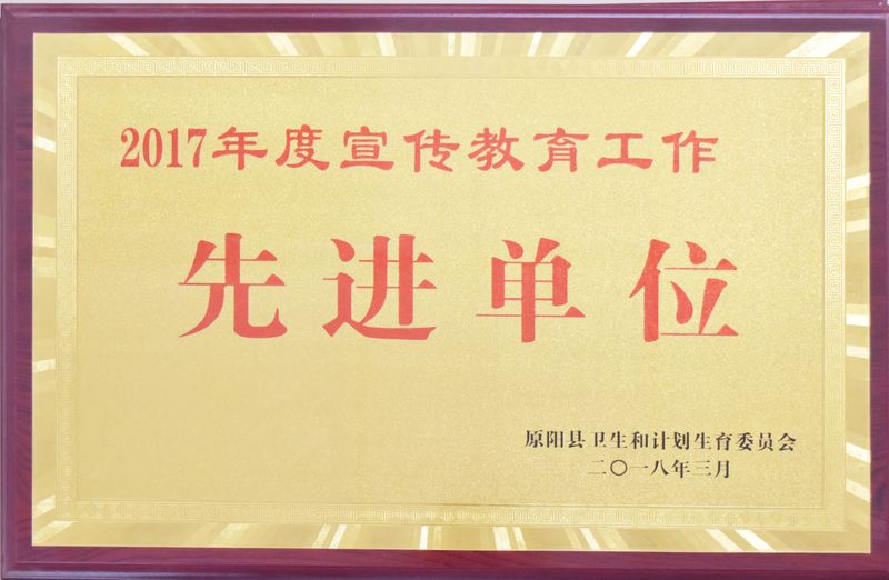 2017年荣誉