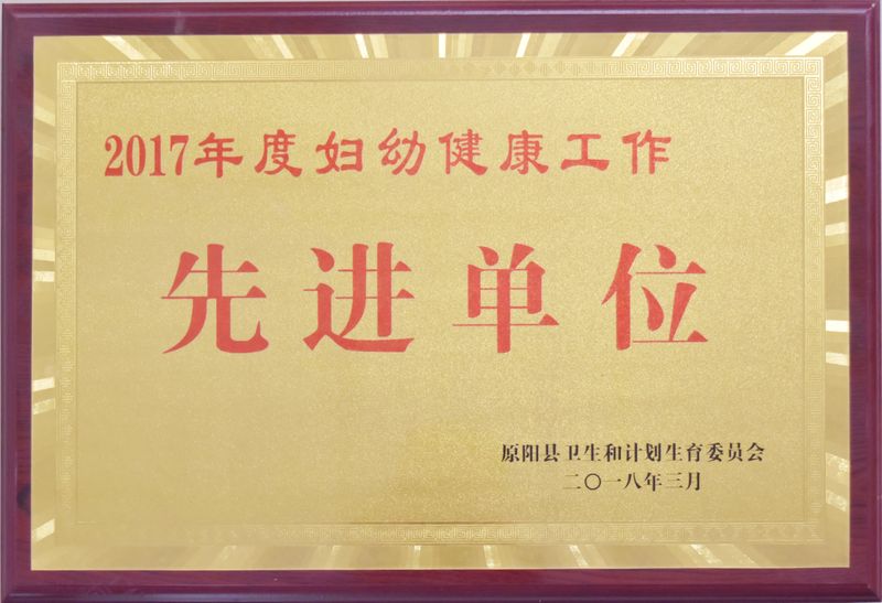 2017年荣誉