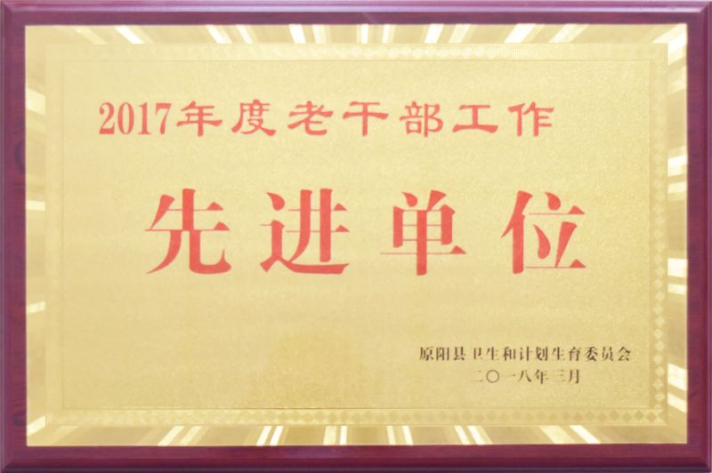 2017年荣誉