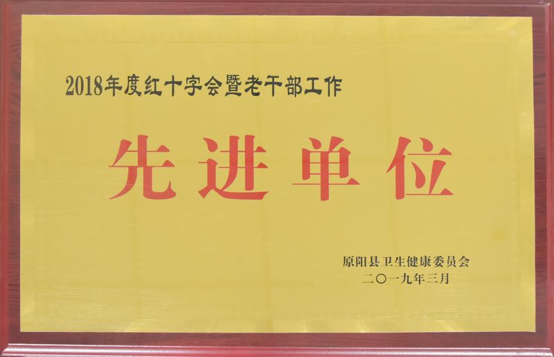 2018年荣誉