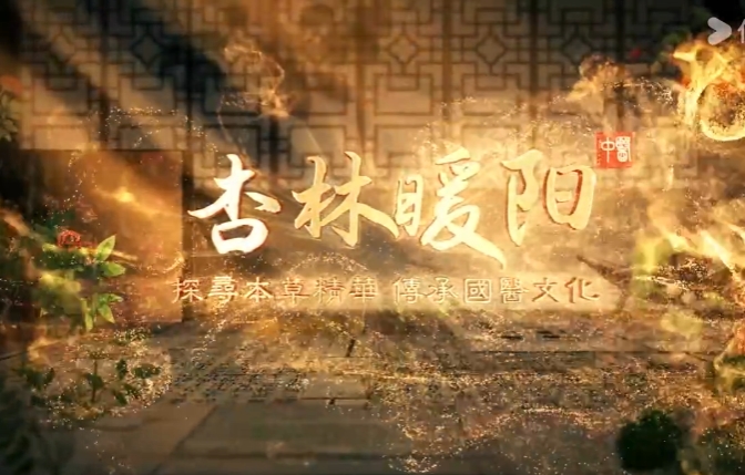 原阳县中医院-杏林暖阳