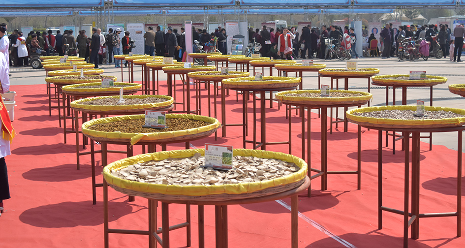 传统中医药文化1